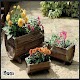 Download Planter Ideas For PC Windows and Mac 1.1