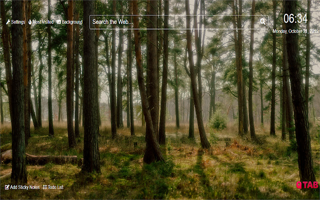 Forest Wallpapers for New Tab