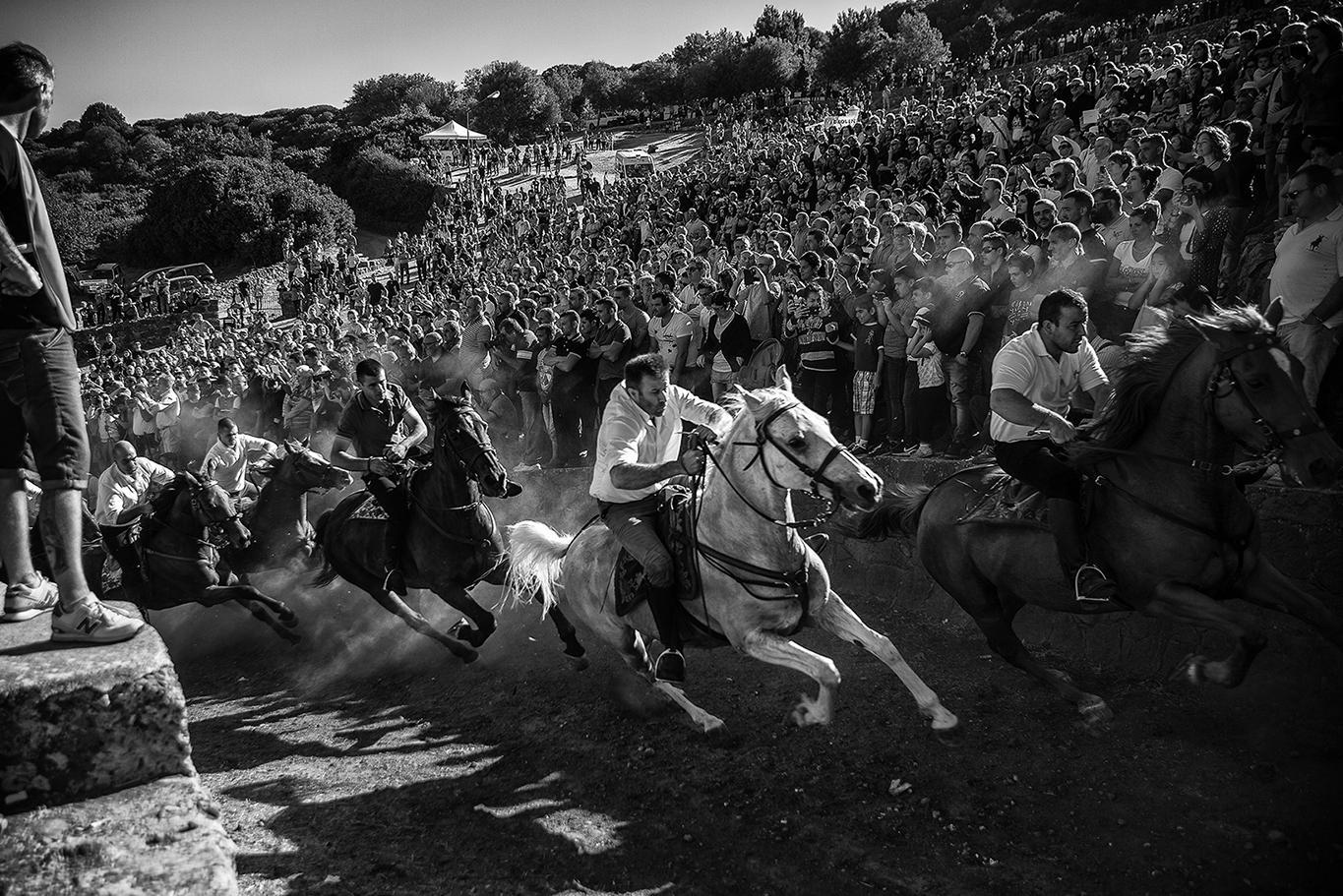 Il mio "Cavallo di battaglia" di FrancescoPaolo