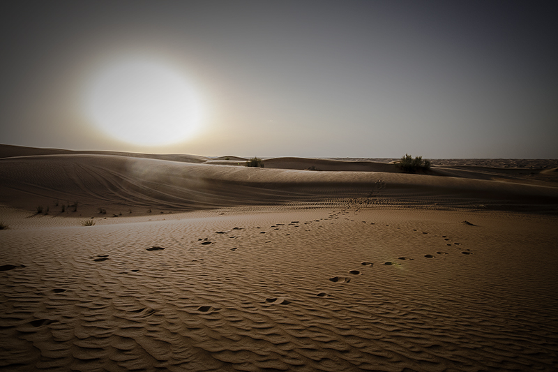 desert di Lacortegiuseppefoto 