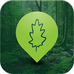 Bialowieza Forest Apk