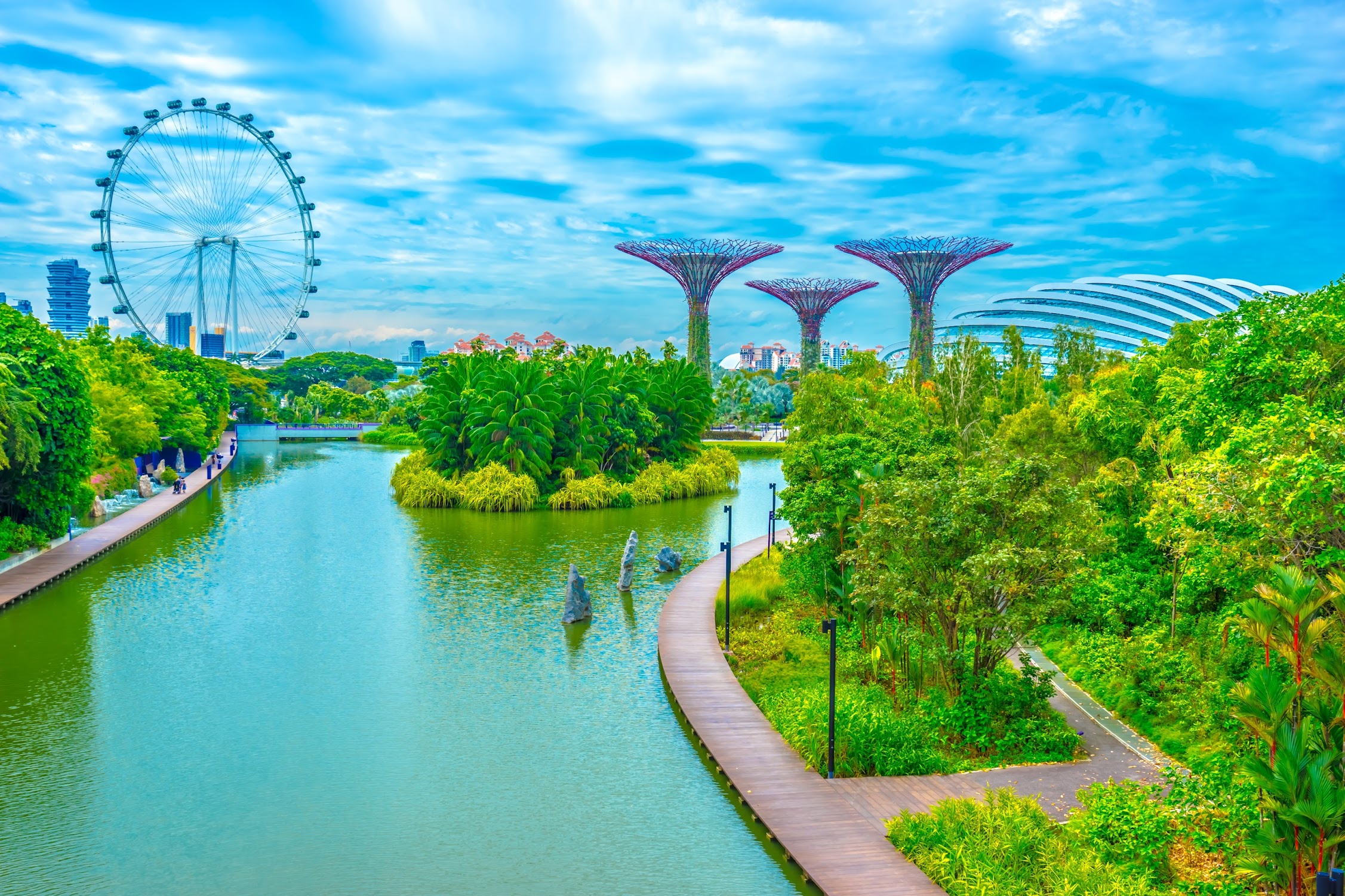 Gardens by the Bay Dragonfly Bridge2