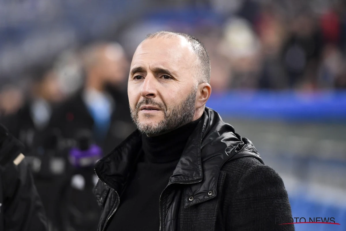 La fédération gambienne porte plainte contre Djamel Belmadi 