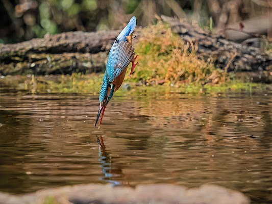 Pescatore infallibile di Roby_C