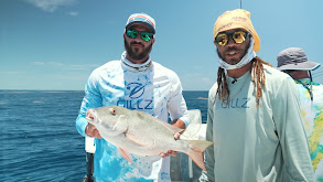 Bird Mode, Fishing for Mahi-Mahi and Deep-Dropping thumbnail