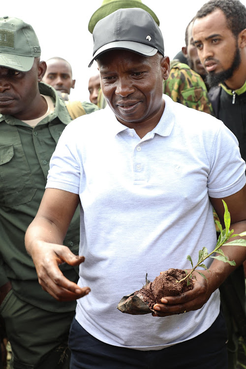 Interior CS Kithure Kindiki during national tree planting day in Saku, Marsabit County on May 10, 2024.