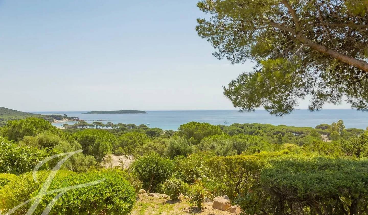 Propriété avec piscine Porto-Vecchio