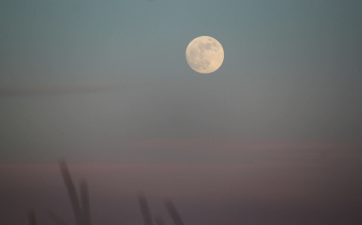 Alla luna...... di Inouk