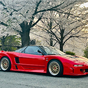 NSX NA1