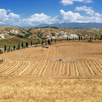 La canicola nei campi di 