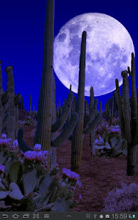 Desert Free Live Wallpaper(圖4)-速報App