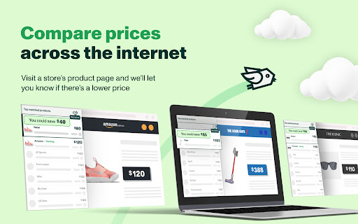 Little Birdie | Get the best price