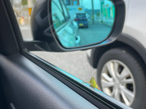 オービスに関するカスタム ドレスアップ情報 126 件 車のカスタム情報はcartune