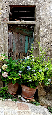 Vintage colours di AnimaObscura