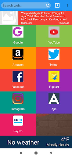 Screenshot 18 Plus Browser