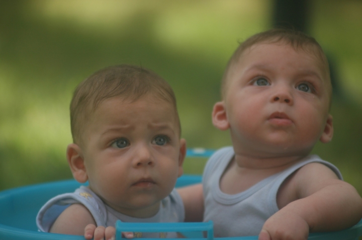 Fratelli gemelli uniti per la vita di FRANCESCOGUA