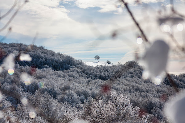 Canfaito with snow di giovix811