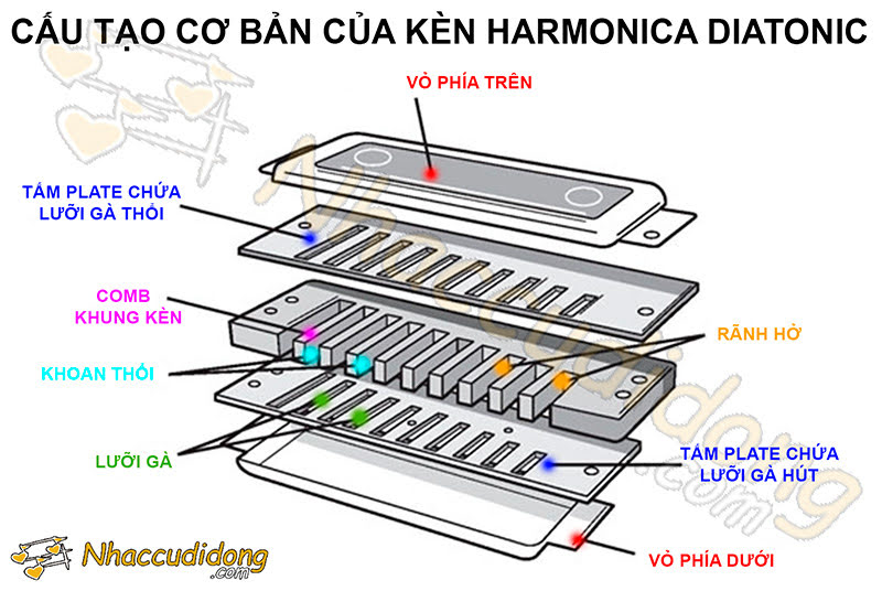 cấu tạo của kèn harmonica diatonic
