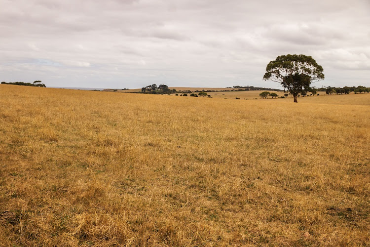 Land reform is being delayed by business and political interests