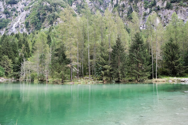 L'armonia tra la foresta e l'acqua di beldo74