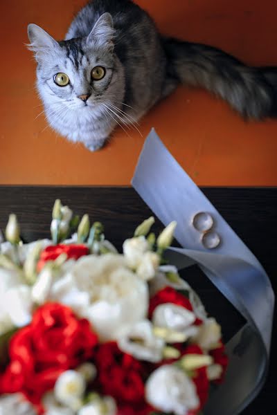 Photographe de mariage Kirill Iodas (iodas4foto). Photo du 25 juin 2020