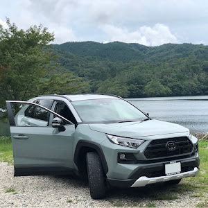 RAV4