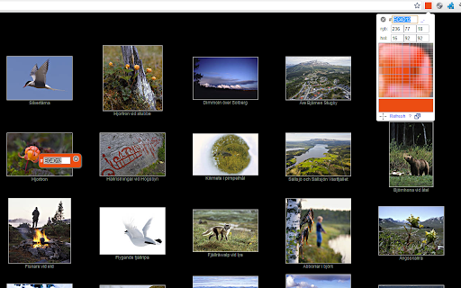 ColorPick Eyedropper (V3) Preview 2