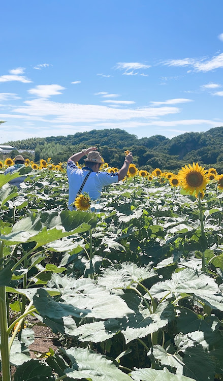 ユキさんが投稿したお盆休みに関するカスタム事例の投稿画像4枚目