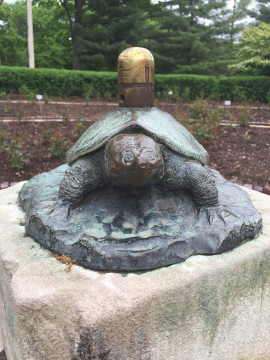 Turtle Fountain