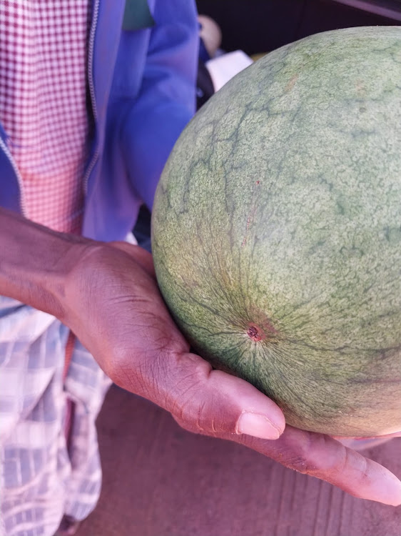 A lerotse gourd, which are farmed at Strydkraal.