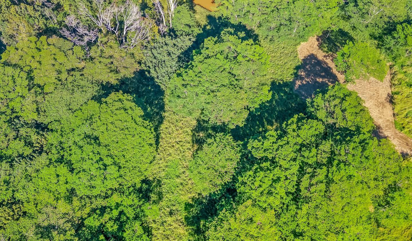 Land Kapaʻa