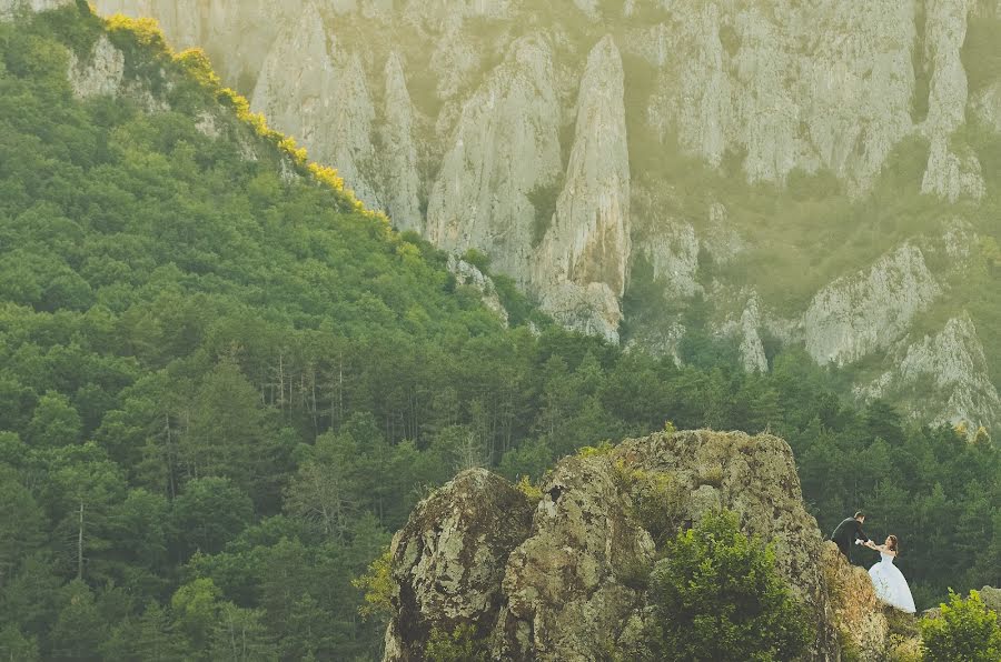 Fotograful de nuntă Flaviu Almasan (flaviualmasan). Fotografia din 4 august 2015