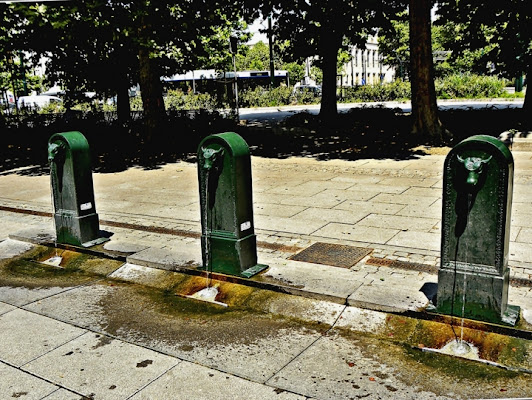 TERNO a TORINO di lonni