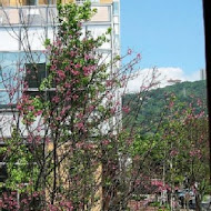 伯朗咖啡館