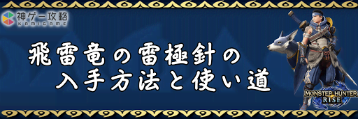 飛雷竜の雷極針