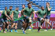 The Springboks during a training session. 