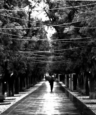 WALKING IN THE RAIN di Luca Gallozza