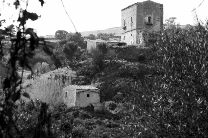 Serenità in campagna. di Petruzzo