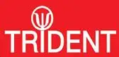 Trident Building & Roofing Logo