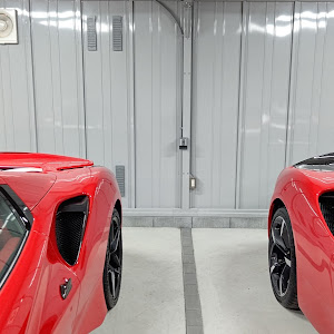 488ピスタスパイダー