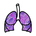 Lung Cancer Stage 1.0 APK Download