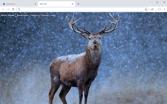 Deer Wallpapers Fawn New Tab Theme