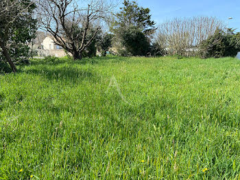 terrain à Brem-sur-Mer (85)