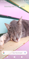 Sleeping Kitty 3D Wallpaper Screenshot