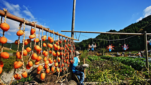 Scarecrow(干し柿)の写真