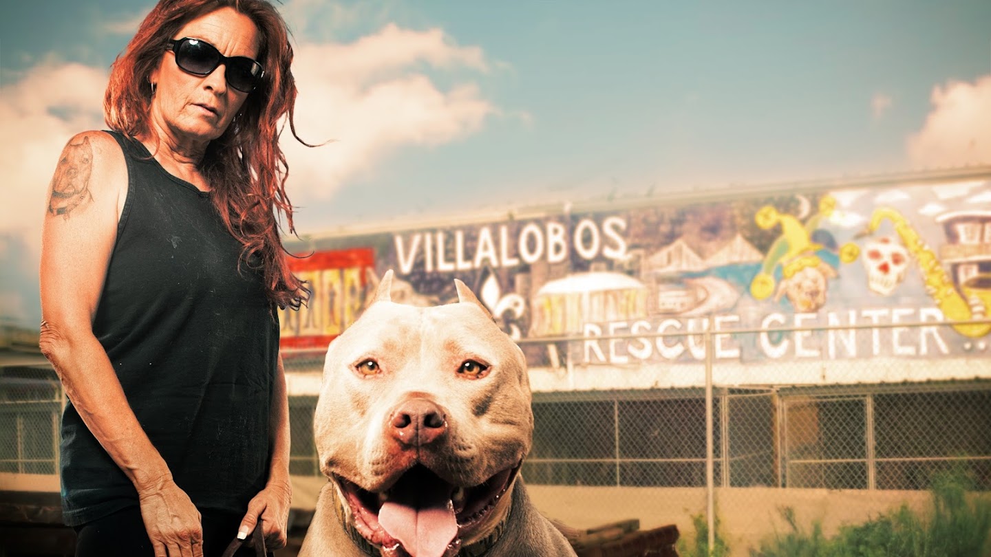 Pit Bulls & Parolees: Puppy Tales