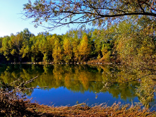 Autunno sul fiume di commodoro