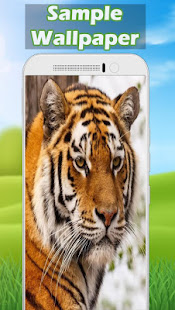 Tiger Wallpaper HD(圖4)-速報App