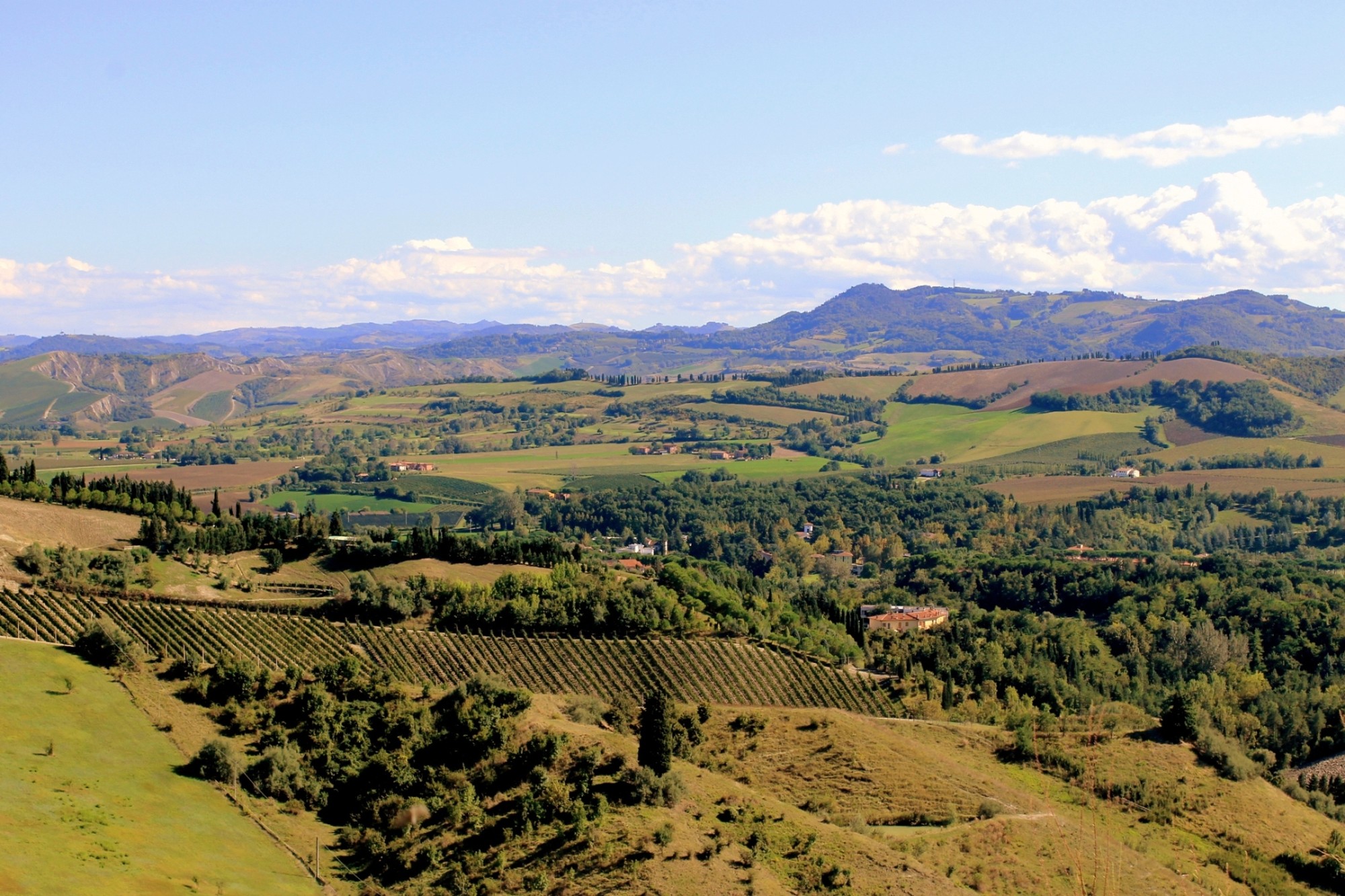 Romagna e sangiovese di Regent