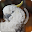 Cockatoo Bird Call Sounds Ringtone Download on Windows